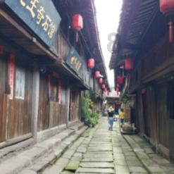 芬兰马丁塞尔 小熊幼崽专注吃鱼尽显呆萌